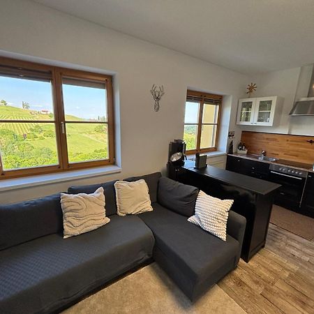 Glanz Und Gloria Weingartenapartment An Der Kellerstrasse, Viele Buschenschaenke, Sehr Ruhige Lage, Herrliche Aussicht! Leutschach Kültér fotó