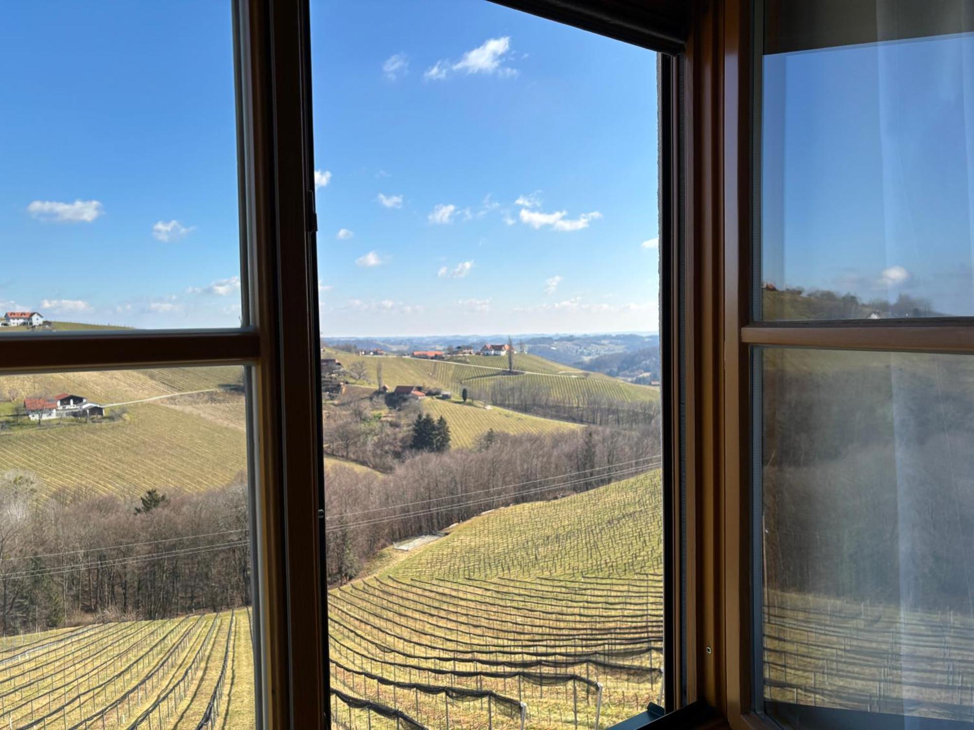 Glanz Und Gloria Weingartenapartment An Der Kellerstrasse, Viele Buschenschaenke, Sehr Ruhige Lage, Herrliche Aussicht! Leutschach Kültér fotó